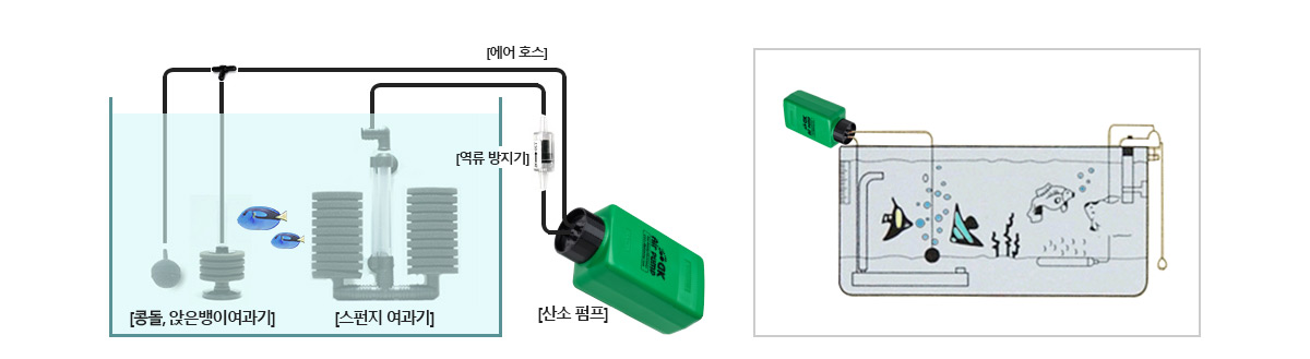 산소펌프과정